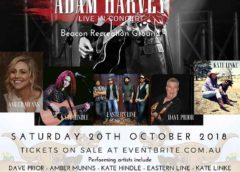 Promotional poster for the Adam Harvey Concert in Beacon 2018