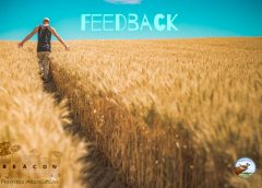 farmer walks through wheatfield - news feedback post