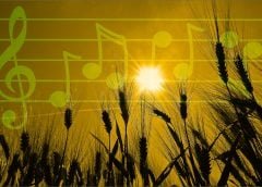 post feature image of wheat in the sun with overlay of musical notes
