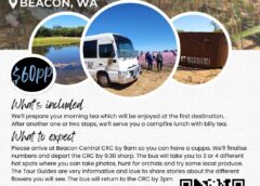 Beacon-Wildflower-Tours-2025