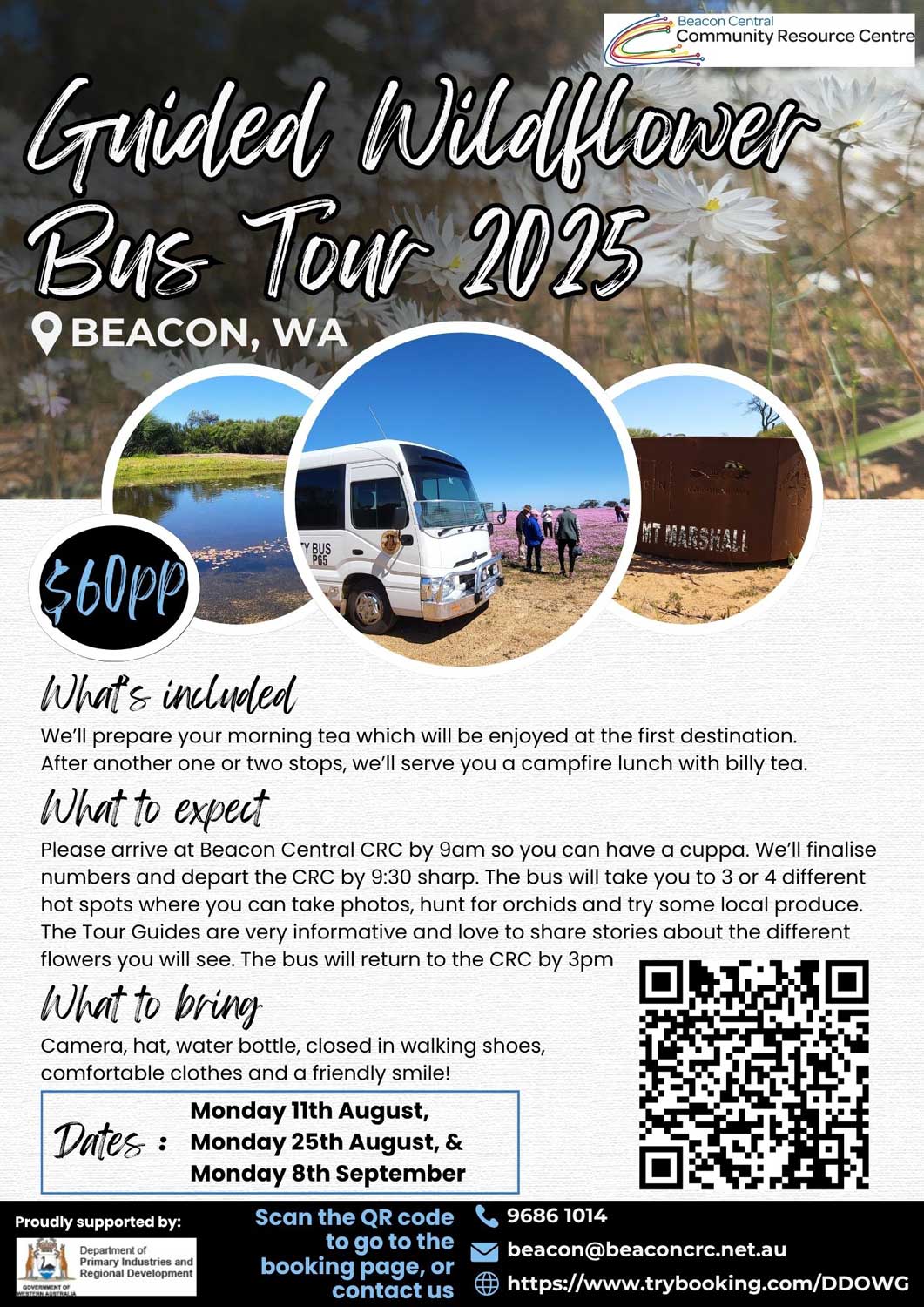 Beacon-Wildflower-Tours-2025