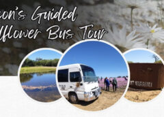 Beacon-wildflower-bus-tours-2026