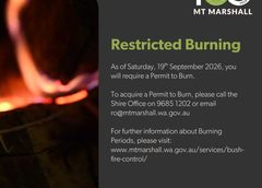 Restricted Burning