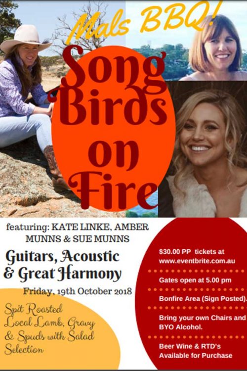 Promotional poster for Song Birds on Fire event